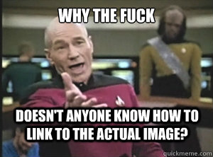 Why the fuck doesn't anyone know how to link to the actual image?  Annoyed Picard