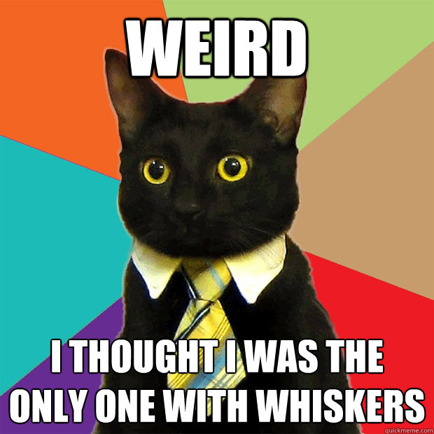 weird i thought i was the only one with whiskers  Business Cat