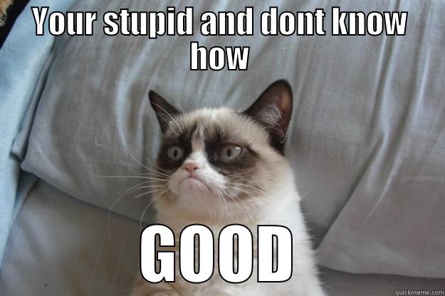 YOUR STUPID AND DONT KNOW HOW GOOD Grumpy Cat