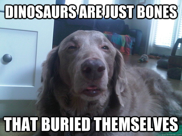 Dinosaurs are just bones That buried themselves  10 Dog