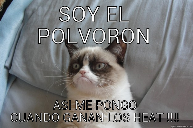 SOY EL POLVORON ASI ME PONGO CUANDO GANAN LOS HEAT !!!! Grumpy Cat