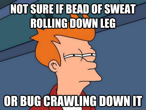 Not sure if bead of sweat rolling down leg or bug crawling down it  Futurama Fry