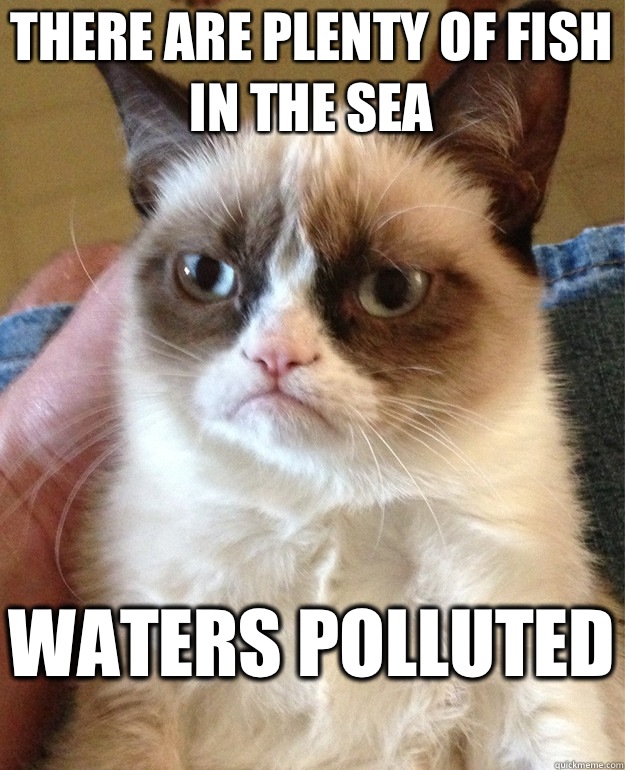 There are plenty of fish in the sea Waters polluted  Grumpy Cat