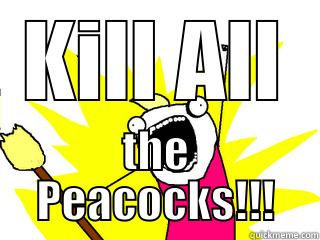 KILL ALL THE PEACOCKS!!! All The Things