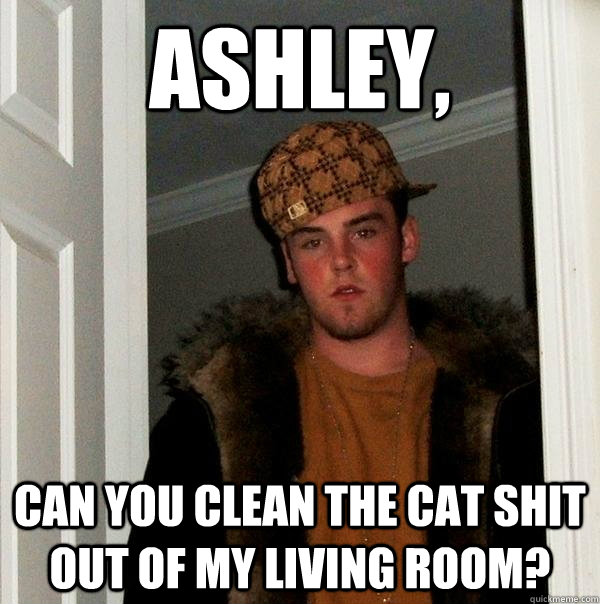 ASHLEY, can you clean the cat shit out of my living room?  Scumbag Steve