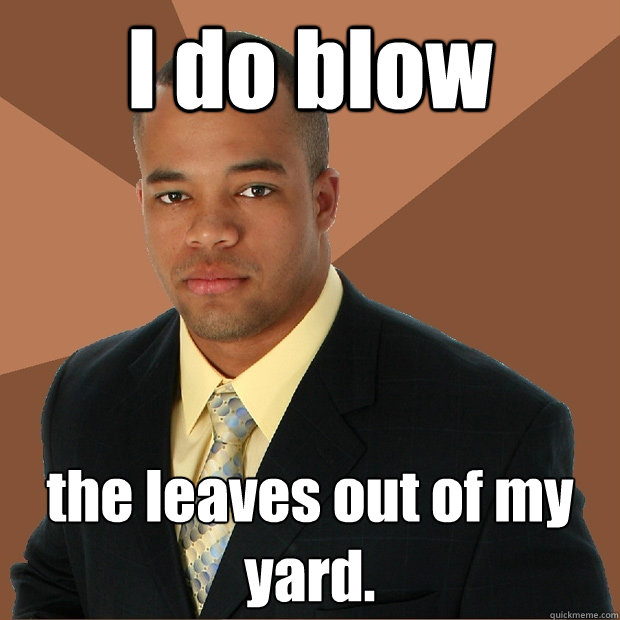 I do blow the leaves out of my yard. - I do blow the leaves out of my yard.  Successful Black Man