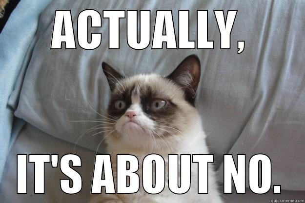 ACTUALLY, IT'S ABOUT NO. Grumpy Cat