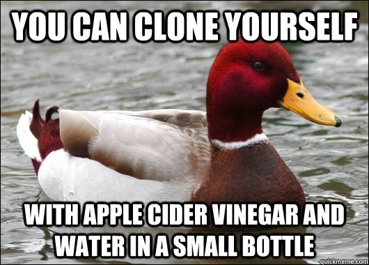 You can clone yourself with apple cider vinegar and water in a small bottle - You can clone yourself with apple cider vinegar and water in a small bottle  Malicious Advice Mallard