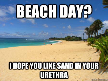 beach day? I hope you like sand in your urethra - beach day? I hope you like sand in your urethra  The Beach