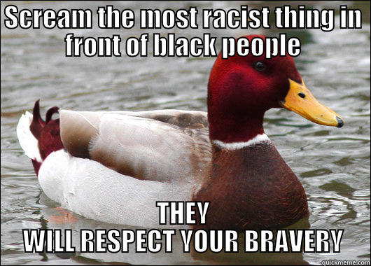 No Mallard, They'll KILL YOU - SCREAM THE MOST RACIST THING IN FRONT OF BLACK PEOPLE THEY WILL RESPECT YOUR BRAVERY Malicious Advice Mallard