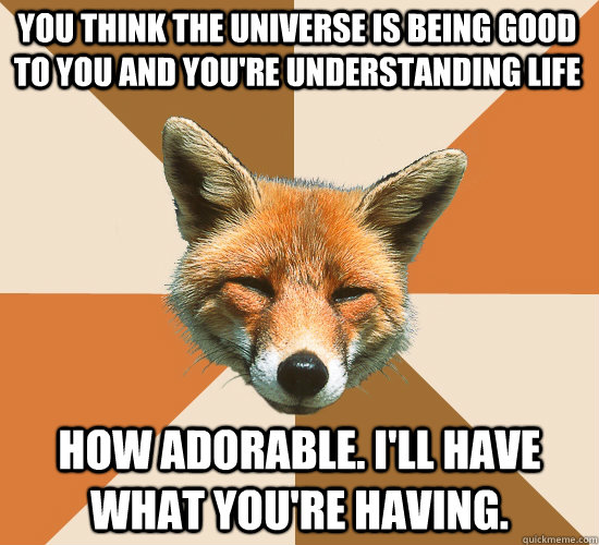 You think the universe is being good to you and you're understanding life How adorable. I'll have what you're having.  Condescending Fox