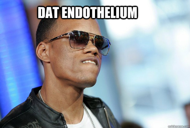 Dat endothelium  Dat Ass