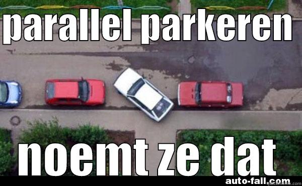 PARALLEL PARKEREN  NOEMT ZE DAT Misc