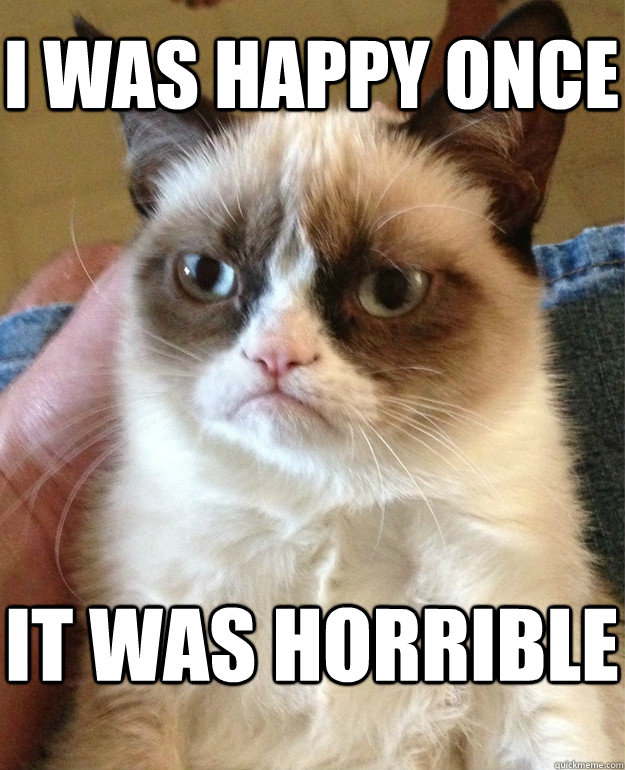 I was happy once It was horrible  Grumpy Cat