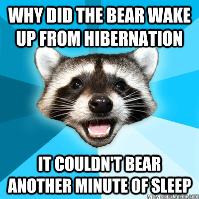 Why did the bear wake up from hibernation it couldn't bear another minute of sleep  Caption 4 goes here - Why did the bear wake up from hibernation it couldn't bear another minute of sleep  Caption 4 goes here  Lame Pun Raccoon