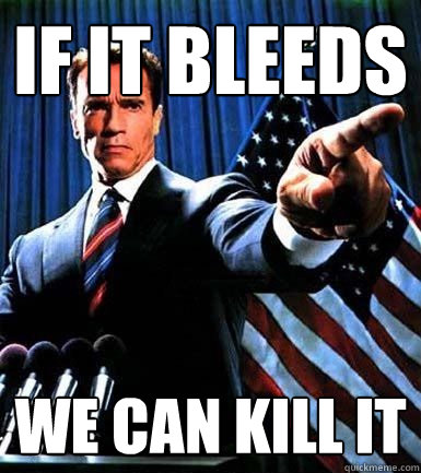 if it bleeds we can kill it  