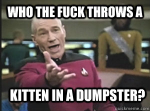 Who the fuck throws a  kitten in a dumpster?  Annoyed Picard