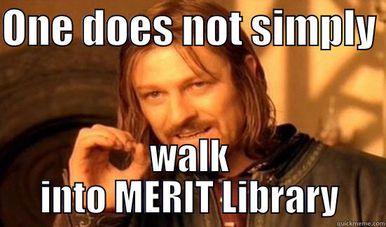 ONE DOES NOT SIMPLY  WALK INTO MERIT LIBRARY Boromir