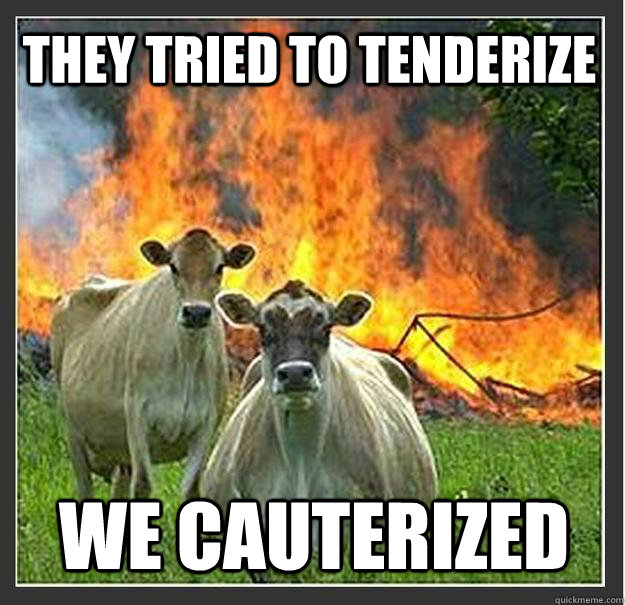 They tried to tenderize we cauterized  Evil cows