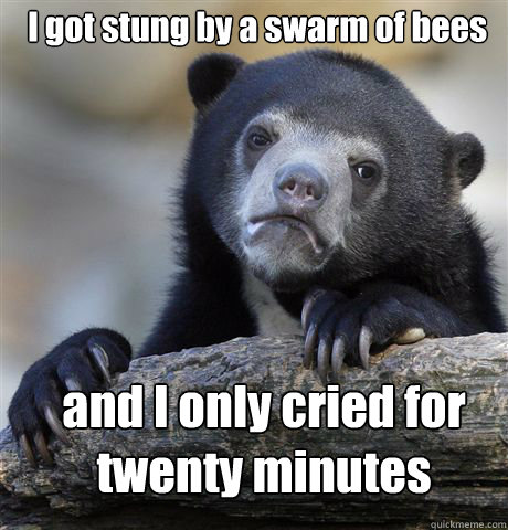 I got stung by a swarm of bees and I only cried for twenty minutes - I got stung by a swarm of bees and I only cried for twenty minutes  Confession Bear