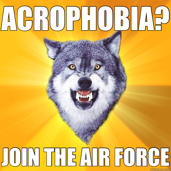 ACROPHOBIA? JOIN THE AIR FORCE - ACROPHOBIA? JOIN THE AIR FORCE  Courage Wolf