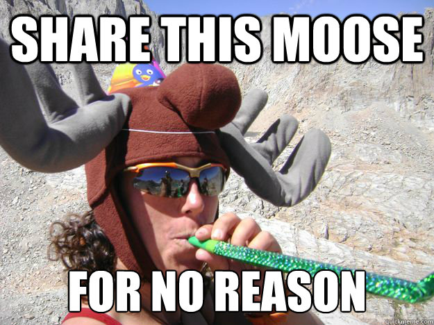 Share This Moose For no reason - Share This Moose For no reason  Moose