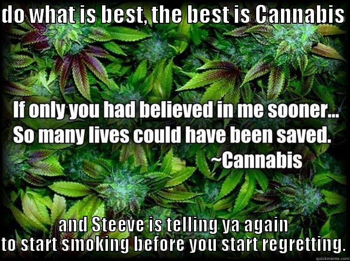 DO WHAT IS BEST, THE BEST IS CANNABIS  AND STEEVE IS TELLING YA AGAIN TO START SMOKING BEFORE YOU START REGRETTING. Misc