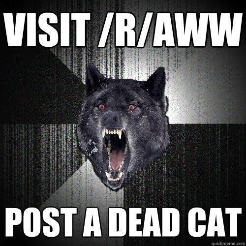 Visit /r/aww Post a dead cat - Visit /r/aww Post a dead cat  Insanity Wolf