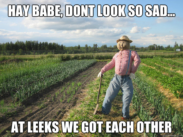 Hay babe, dont look so sad... at leeks we got each other  Scarecrow