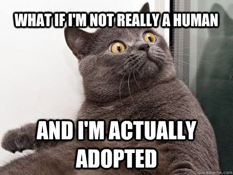 what if i'm not really a human and i'm actually adopted  conspiracy cat