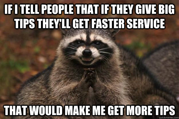 if i tell people that if they give big tips they'll get faster service  that would make me get more tips   Evil Plotting Raccoon