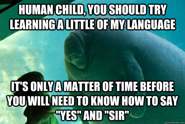 human child, you should try learning a little of my language  it's only a matter of time before you will need to know how to say 