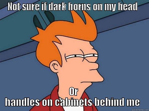 Can You Handle It? - NOT SURE IF DARK HORNS ON MY HEAD  OR HANDLES ON CABINETS BEHIND ME  Futurama Fry