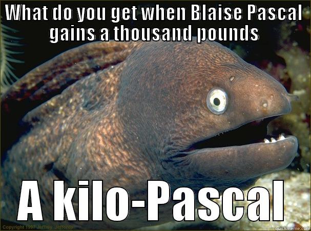 WHAT DO YOU GET WHEN BLAISE PASCAL GAINS A THOUSAND POUNDS A KILO-PASCAL Bad Joke Eel