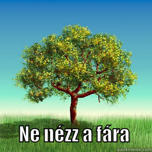 ne nézz a fára lol -         NE NÉZZ A FÁRA      Misc