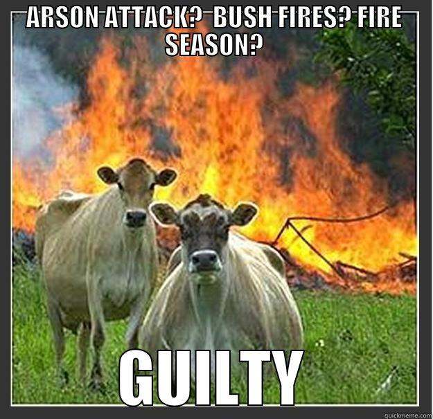 ARSON ATTACK?  BUSH FIRES? FIRE SEASON? GUILTY Evil cows