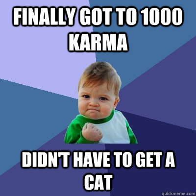 finally got to 1000 karma didn't have to get a cat - finally got to 1000 karma didn't have to get a cat  Success Kid