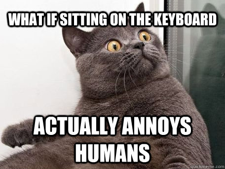 what if sitting on the keyboard actually annoys humans  conspiracy cat