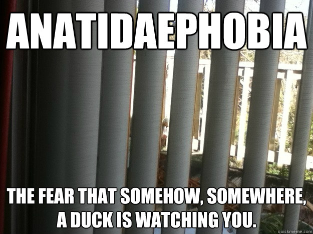 Anatidaephobia the fear that somehow, somewhere, a duck is watching you.
 - Anatidaephobia the fear that somehow, somewhere, a duck is watching you.
  Misc