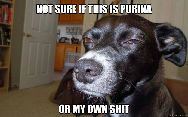 Not sure if this is Purina or my own shit  Skeptical Mutt