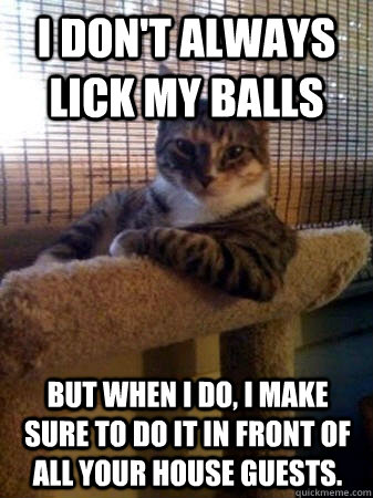 I don't always lick my balls But when I do, I make sure to do it in front of all your house guests.  The Most Interesting Cat in the World