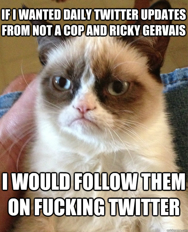 IF I WANTED DAILY TWITTER UPDATES FROM NOT A COP AND RICKY GERVAIS  I WOULD FOLLOW THEM ON FUCKING TWITTER  Grumpy Cat