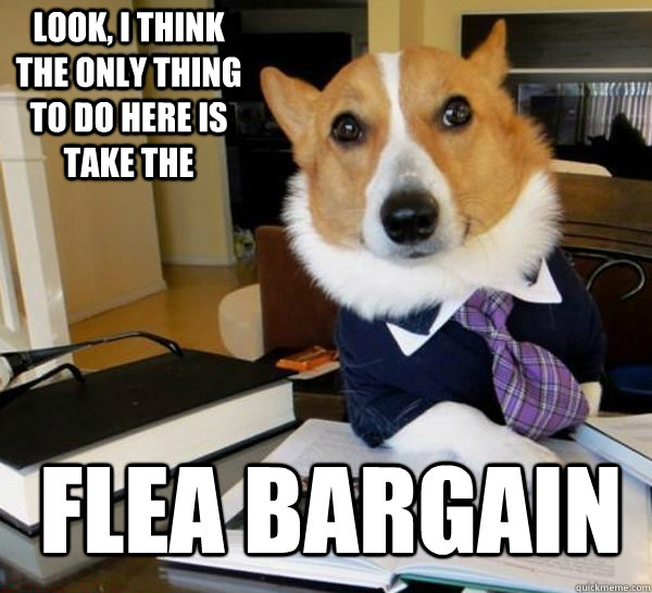 Look, I think the only thing to do here is take the  flea bargain  Lawyer Dog