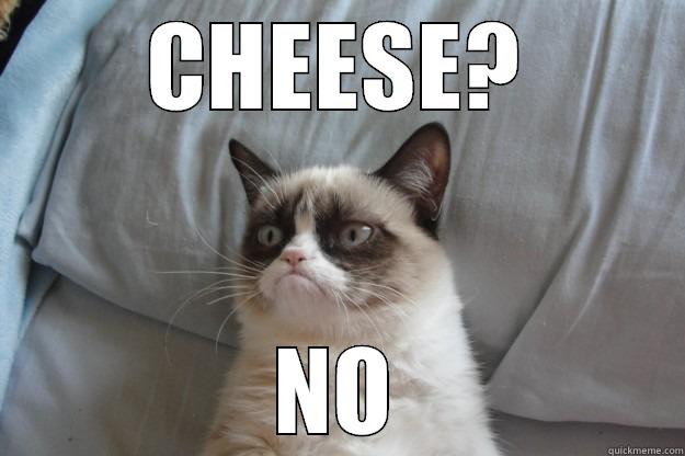 cheese AND SHIT - CHEESE? NO Grumpy Cat