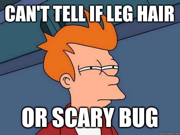 Can't tell if leg hair  Or scary bug  Futurama Fry