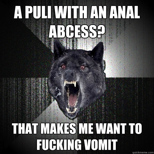 a puli with an anal abcess? that makes me want to fucking vomit  Insanity Wolf