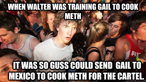 when Walter was training Gail to cook meth  it was so Guss could send  Gail to mexico to cook meth for the cartel. - when Walter was training Gail to cook meth  it was so Guss could send  Gail to mexico to cook meth for the cartel.  Sudden Clarity Clarence