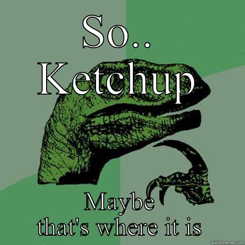 Ketchup love - SO.. KETCHUP MAYBE THAT'S WHERE IT IS Philosoraptor