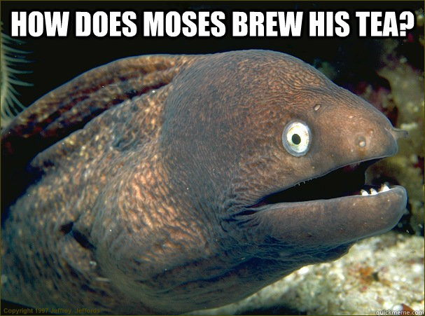 How Does Moses Brew His Tea?   Bad Joke Eel