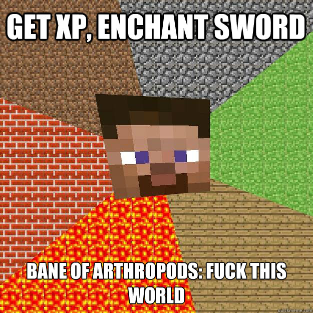 GET XP, ENCHANT SWORD BANE OF ARTHROPODS: FUCK THIS WORLD  Minecraft